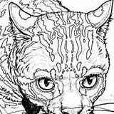素描初级培训内容